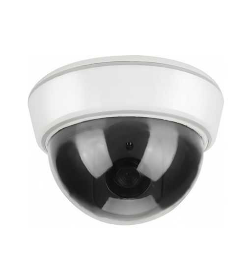 Sanda cámara de vigilancia luez led intermitente a pilas sd-4862 - SD-4862_1